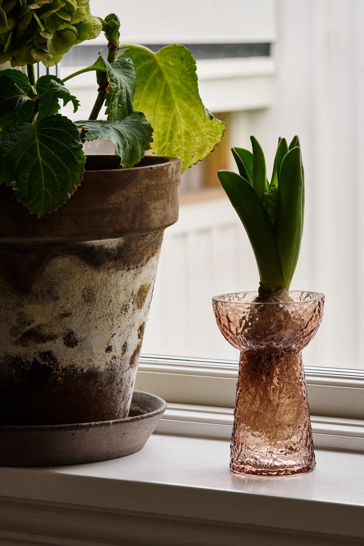 Flor Hyacinth Vase